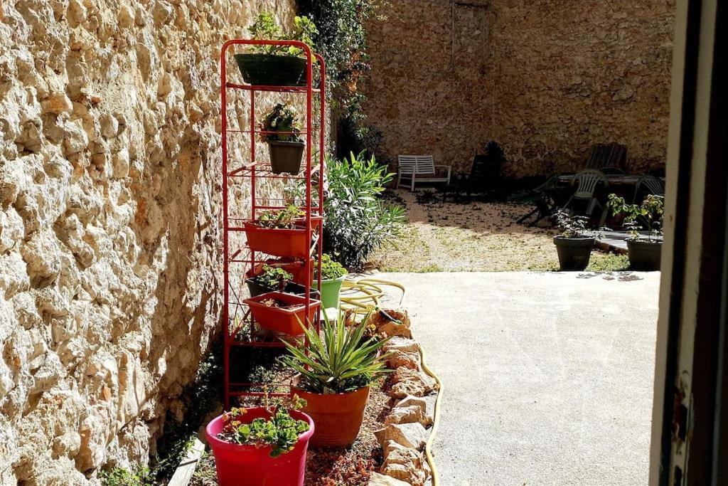 Le Loft Cosy - Centre Ville - Cadre Royal Sete Luaran gambar