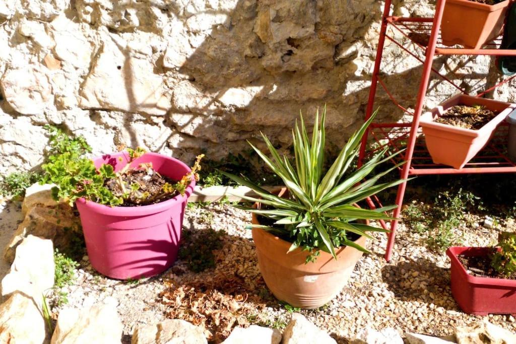 Le Loft Cosy - Centre Ville - Cadre Royal Sete Luaran gambar